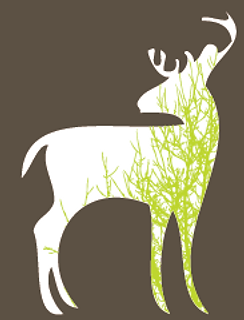 Deerwood Landscaping